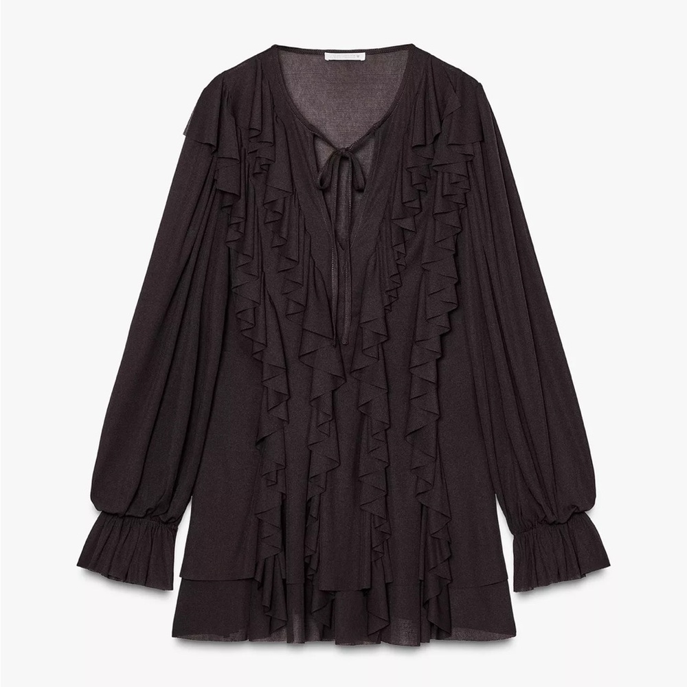 BRAND NEW!! Zara Elegant Ruffled Long Sleeve Dress